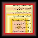 Be Dum Ko Faiz Ahmad Faiz 01 * 10.07.2011 * 329 x 620 * (53KB)
